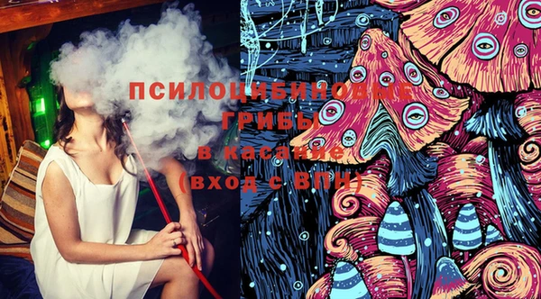 прущие грибы Нефтегорск