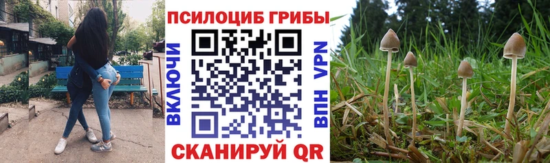 Псилоцибиновые грибы Cubensis  Сафоново 